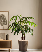 Alamkari India Fabric & Plastic Artificial Rhapis Palm Tree in Black Pot (120 cm)